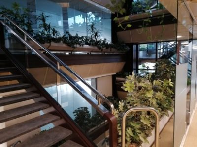 antes-y-despues-lones